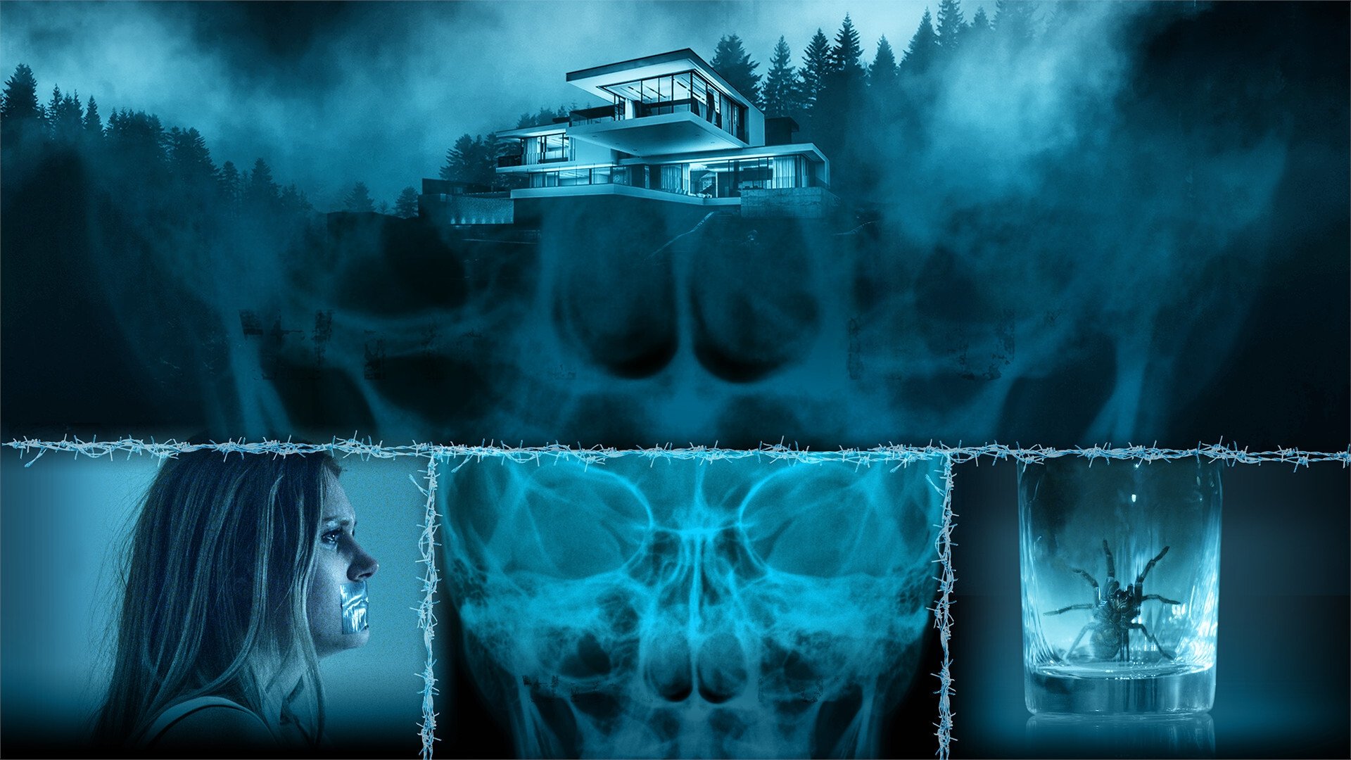 Click to play poster