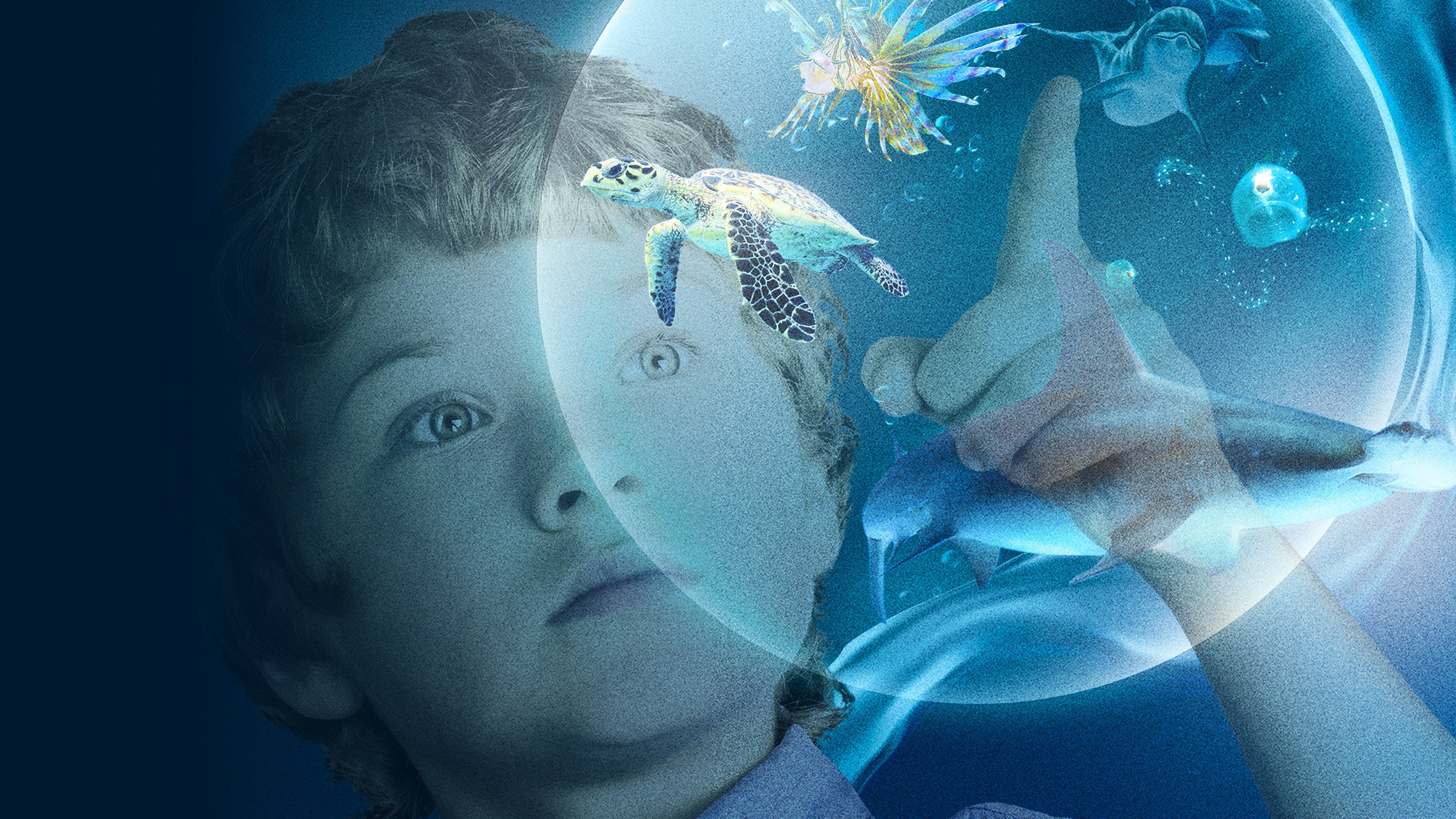Click to play poster