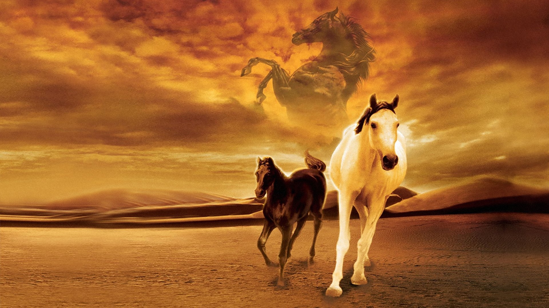 Click to play poster