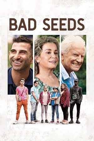 Bad Seed 2019