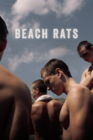 Beach Rats 2017