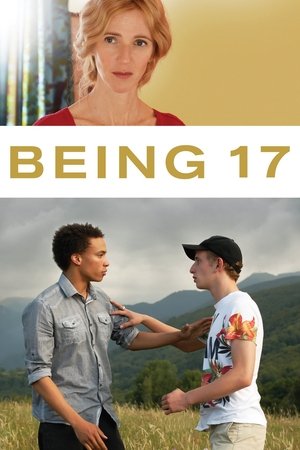 Being 17 2016