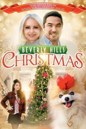Beverly Hills Christmas 2015