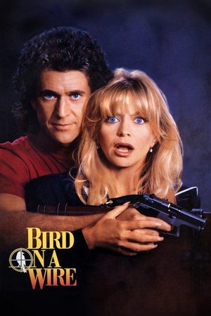 Bird on a Wire 1990