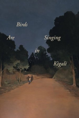 Birds Are Singing in Kigali 2017