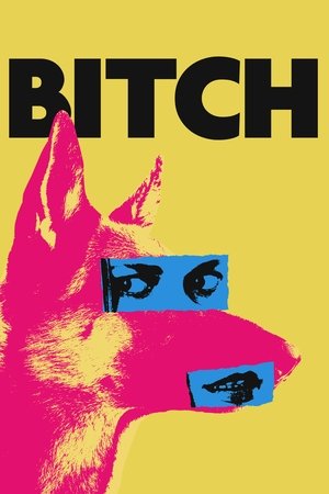 Bitch 2017
