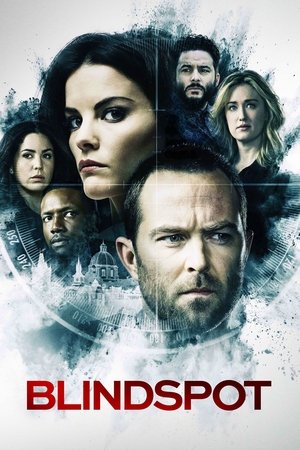 Blindspot 2015