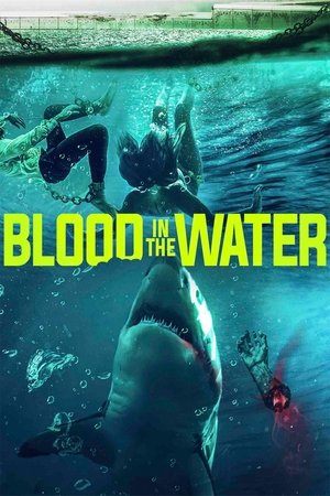 Blood In The Water 2022