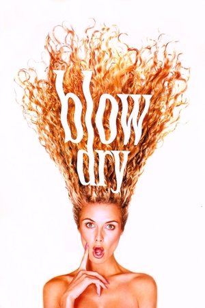 Blow Dry 2001