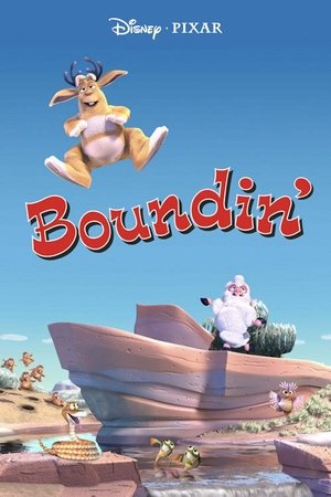 Boundin' 2003