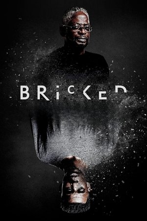 Bricked 2019