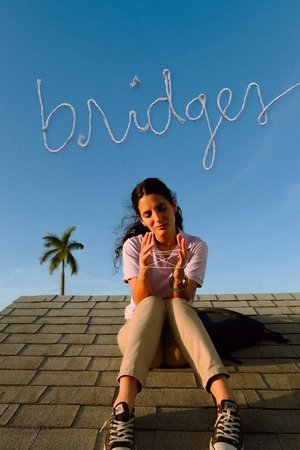 Bridges 2021