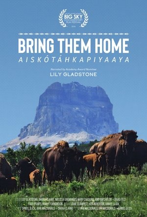 Bring Them Home 2024