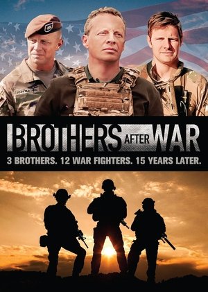 Brothers After War 2025