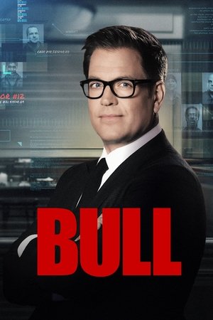 Bull 2016
