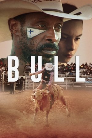 Bull 2020