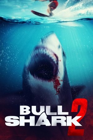 Bull Shark 2 2025