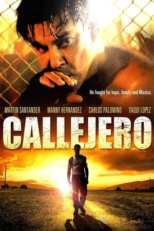 Callejero 2015
