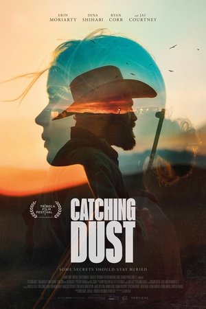 Catching Dust 2024