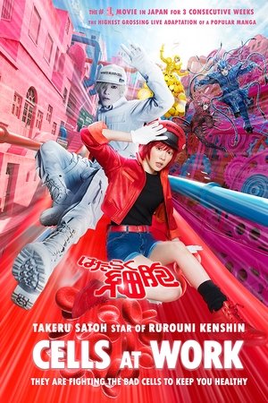 Cells at Work! 2024