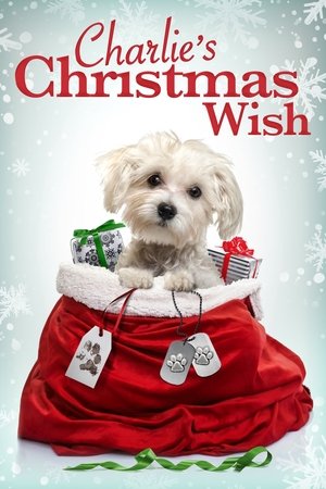 Charlie's Christmas Wish 2020