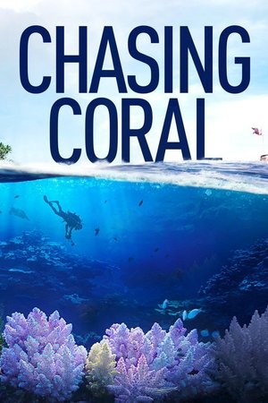 Chasing Coral 2017