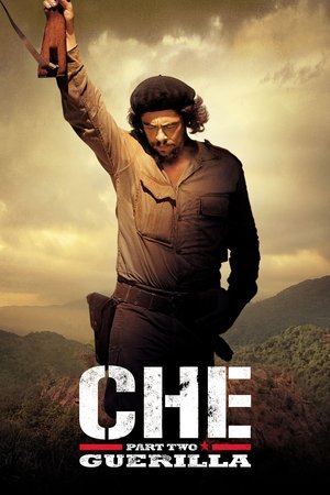 Che: Part Two 2009