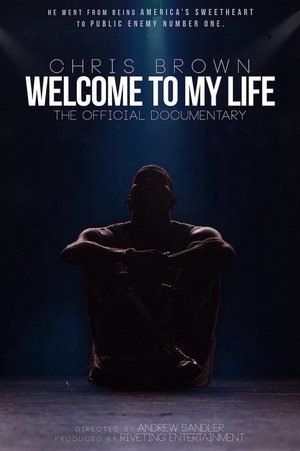 Chris Brown: Welcome to My Life 2017