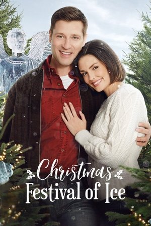 Christmas Festival of Ice 2017