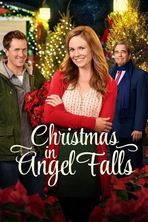 Christmas in Angel Falls 2018