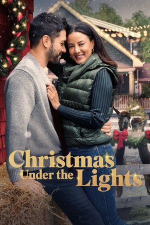 Christmas Under the Lights 2024