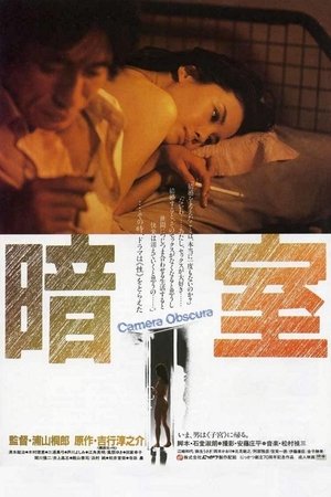 Dark Room 1983
