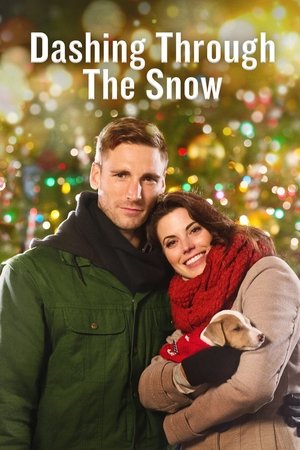 Dashing Through the Snow 2015