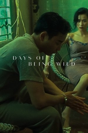 Days of Being Wild 1990