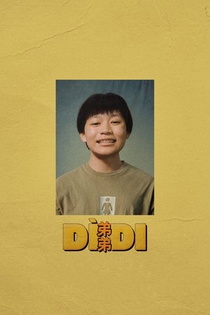 Dìdi 2024