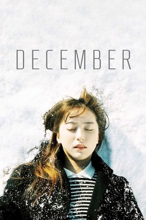 December 2013
