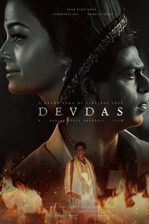 Devdas 2002