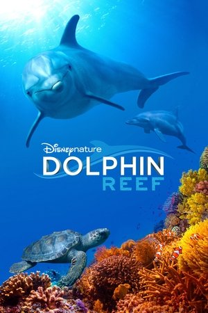 Dolphin Reef 2019
