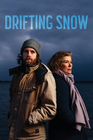 Drifting Snow 2021