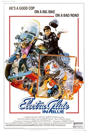 Electra Glide in Blue 1973
