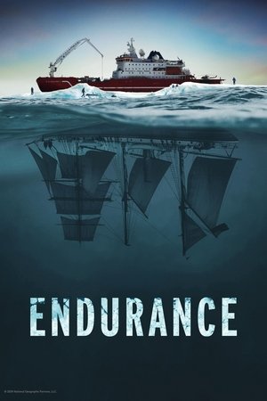 Endurance 2024