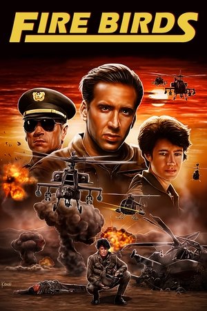 Fire Birds 1990