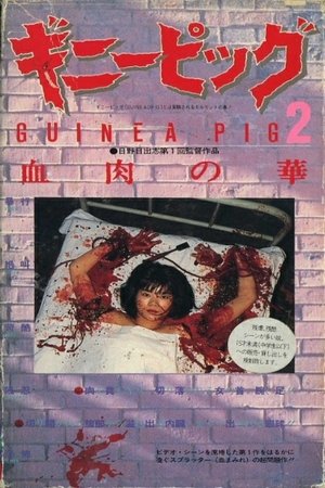 Flesh + Blood 1985