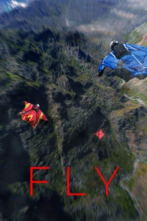Fly 2024