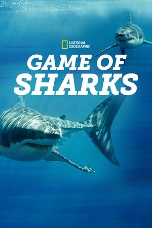 Game of Sharks 2022