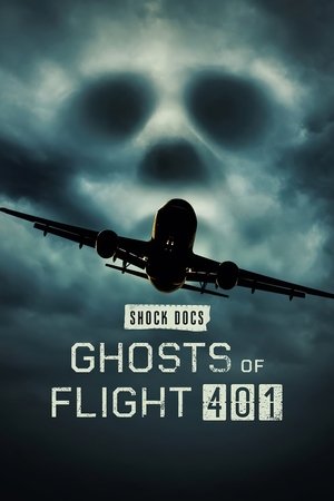 Ghosts of Flight 401 2022