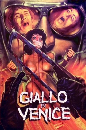 Giallo in Venice 1979