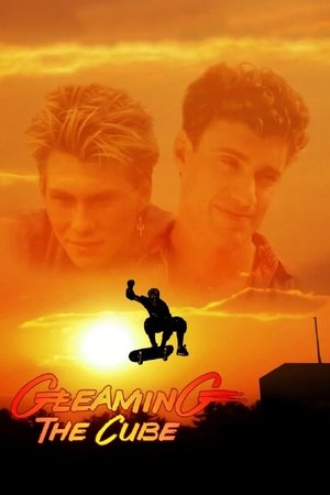 Gleaming the Cube 1989