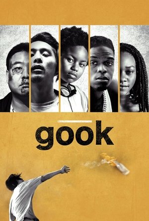 Gook 2017