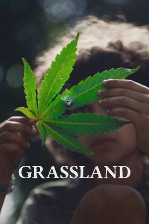 Grassland 2025
